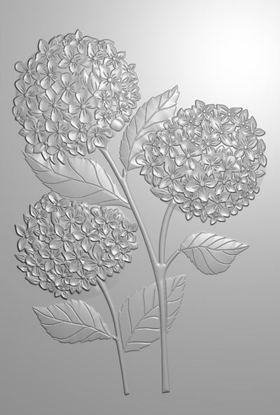 Nature's Garden - Hydrangea - 6x4 3D Embossing Folder - Hydrangea Blooms