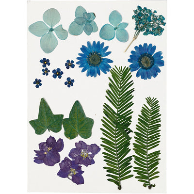 Creativ Pressed Flowers and Leaves - Blue