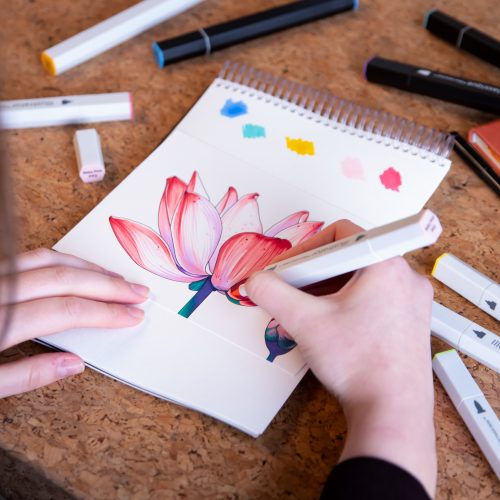 Colour and blend a beautiful water lily with alcohol markers