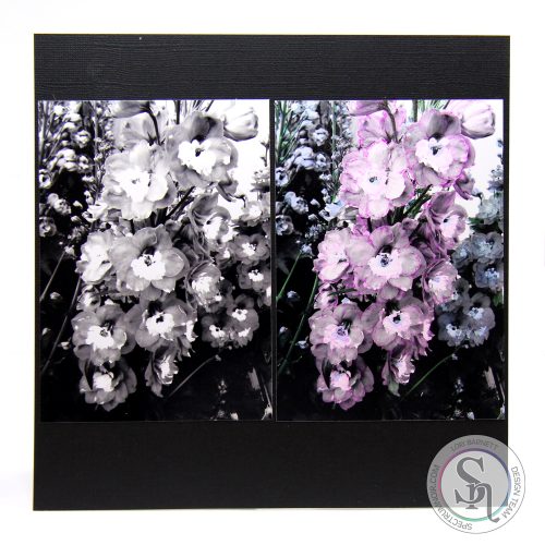 Colour Tinting Black & White Photos with Spectrum Noir