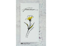 Visible Image Precious Life Stamp Set