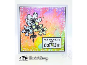 Visible Image Colourful Life Stamp Set