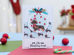 Crafter's Companion Santa Paws 4"x6" 2D Embossing Folder - Snowflakes & Paws