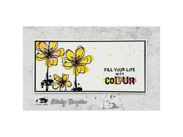 Visible Image Colourful Life Stamp Set