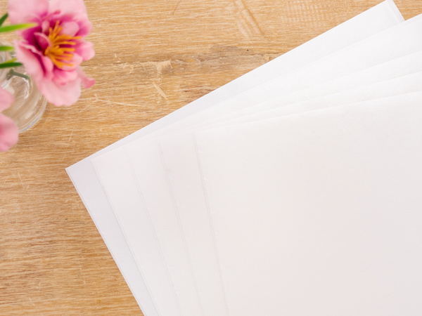 Crafter's Companion Printable Inkjet Acetate - 8 pack