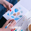 Colorista - Coloured Pencil - Natural Landscape 12pc