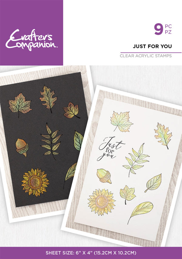 Crafter's Companion Watercolour Clear Acrylic Stamp - Just For You