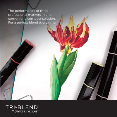 Spectrum Noir TriBlend Markers - Portrait Blends (6 Piece)