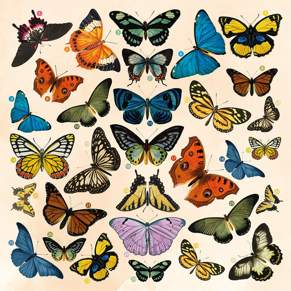 Timeless Butterfly Collection - Topper Sheet and Die Set