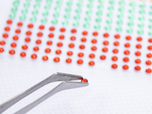 Precision Tweezers 4 Pack