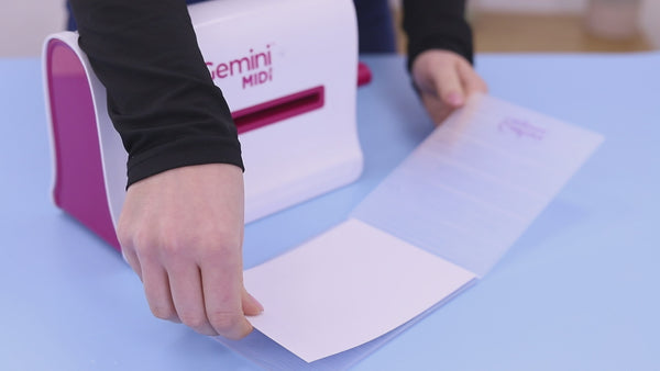 Wildwood Whimsy - Wood Grain 5